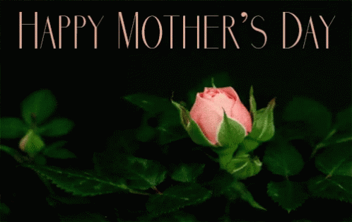 happy mothers day rose opening gif.gif