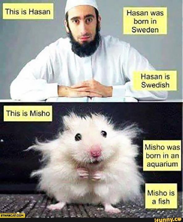 Hassan Third World.jpg