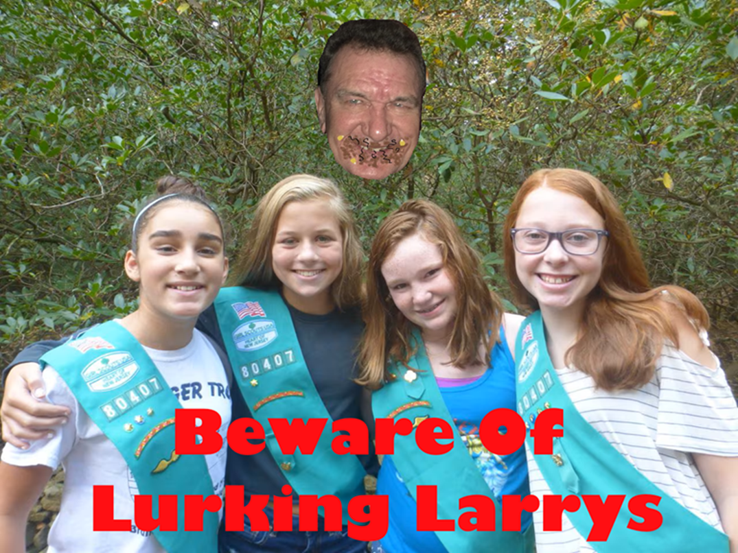 hcd-102117-girl-scout-high-awardjpg-1287b65b028c7a2c 2.png