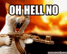 hell-no-hell-to-the-no cat shooting.gif