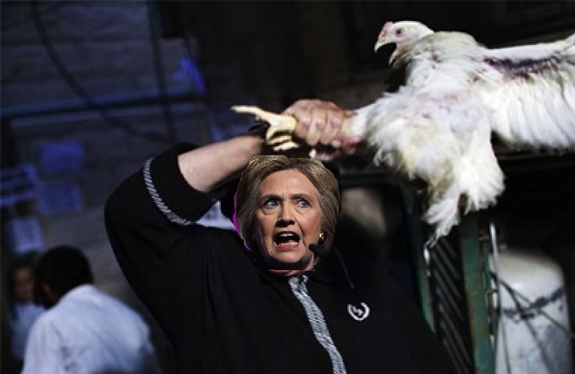 hillarychick.png