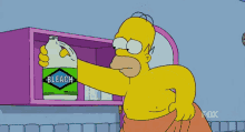 homer-simpson-bleach.gif