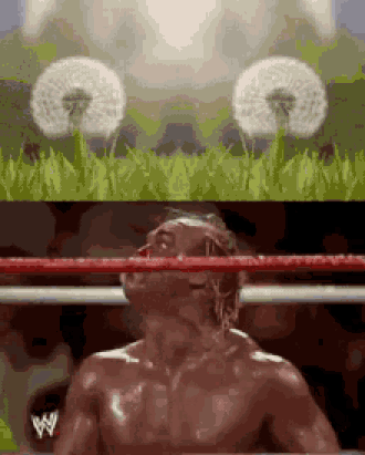 hulk-hogan-1519354521-ezgif.com-resize.gif