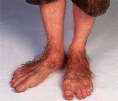 IMG_0375.jpeg