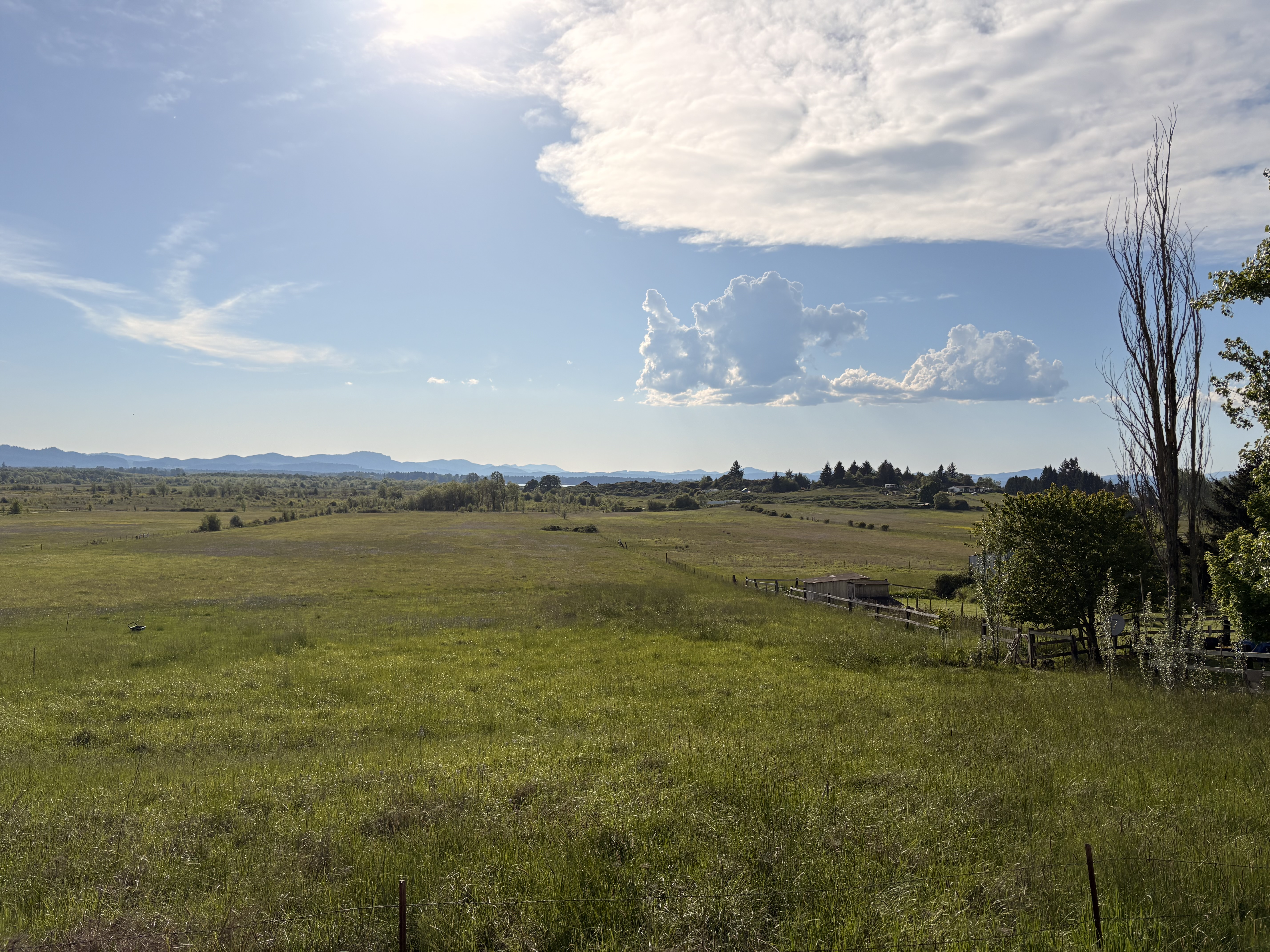 IMG_0892.jpeg