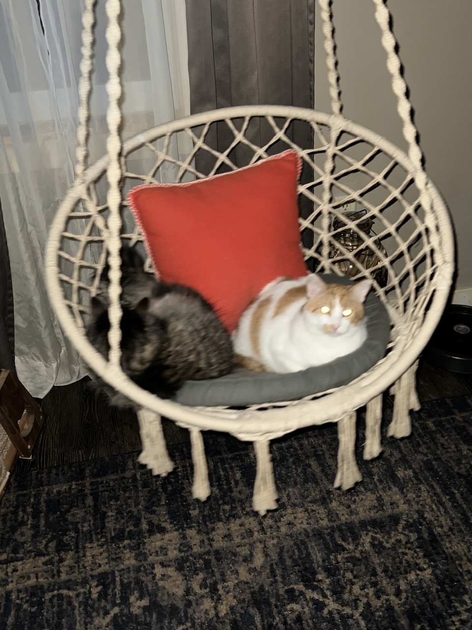 IMG_0928.jpeg