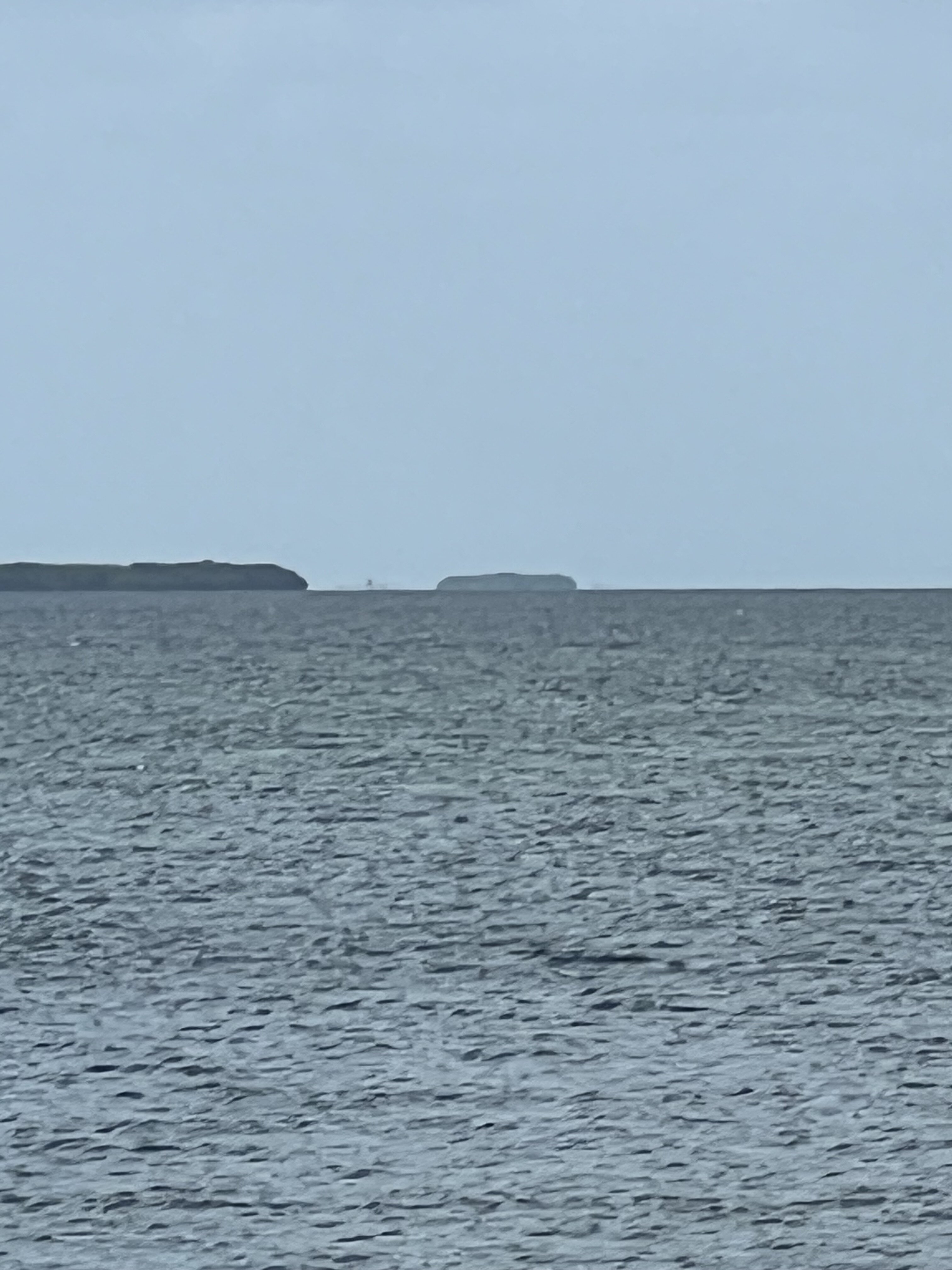 IMG_1008.jpeg