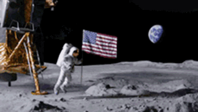 IMG_1648.gif