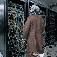 IMG_1941.gif