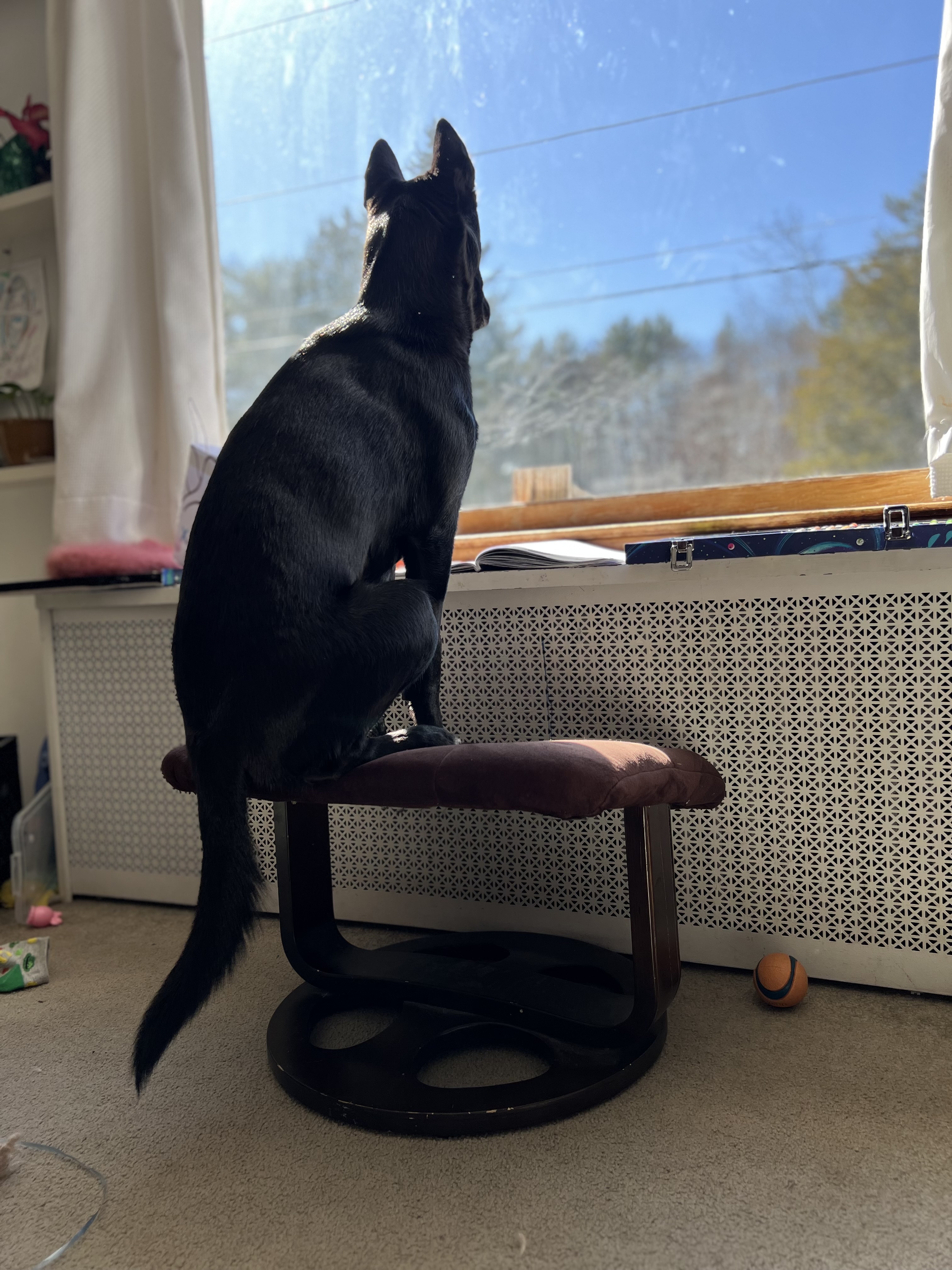 IMG_2027.jpeg