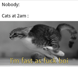 IMG_2405.png