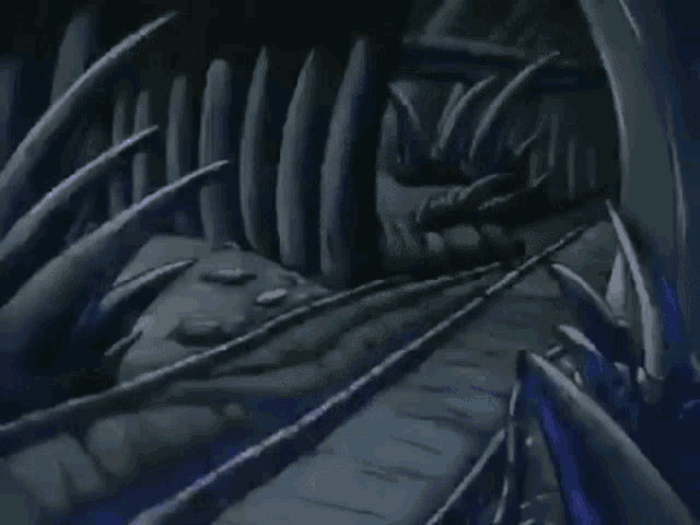 IMG_2557.gif