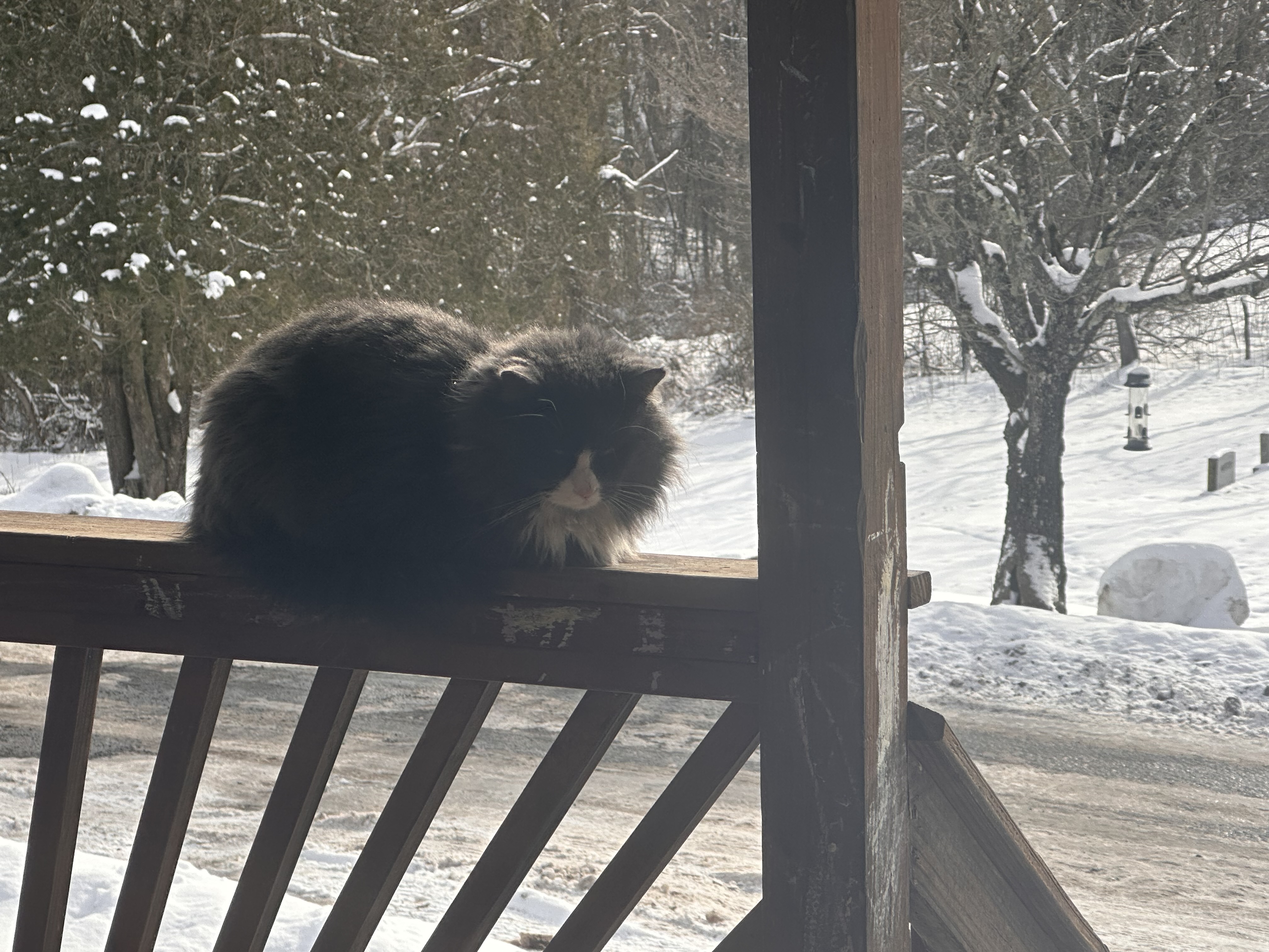 IMG_3595.jpeg