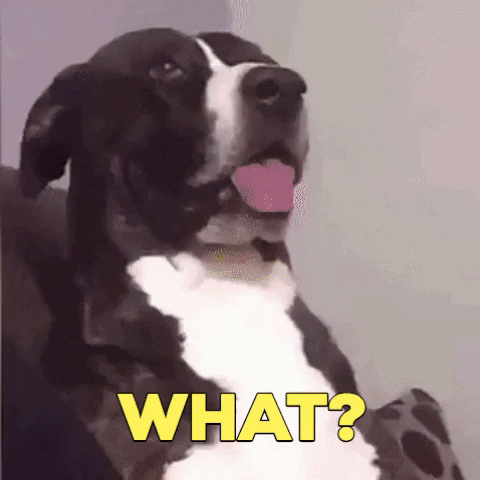 IMG_3829.gif