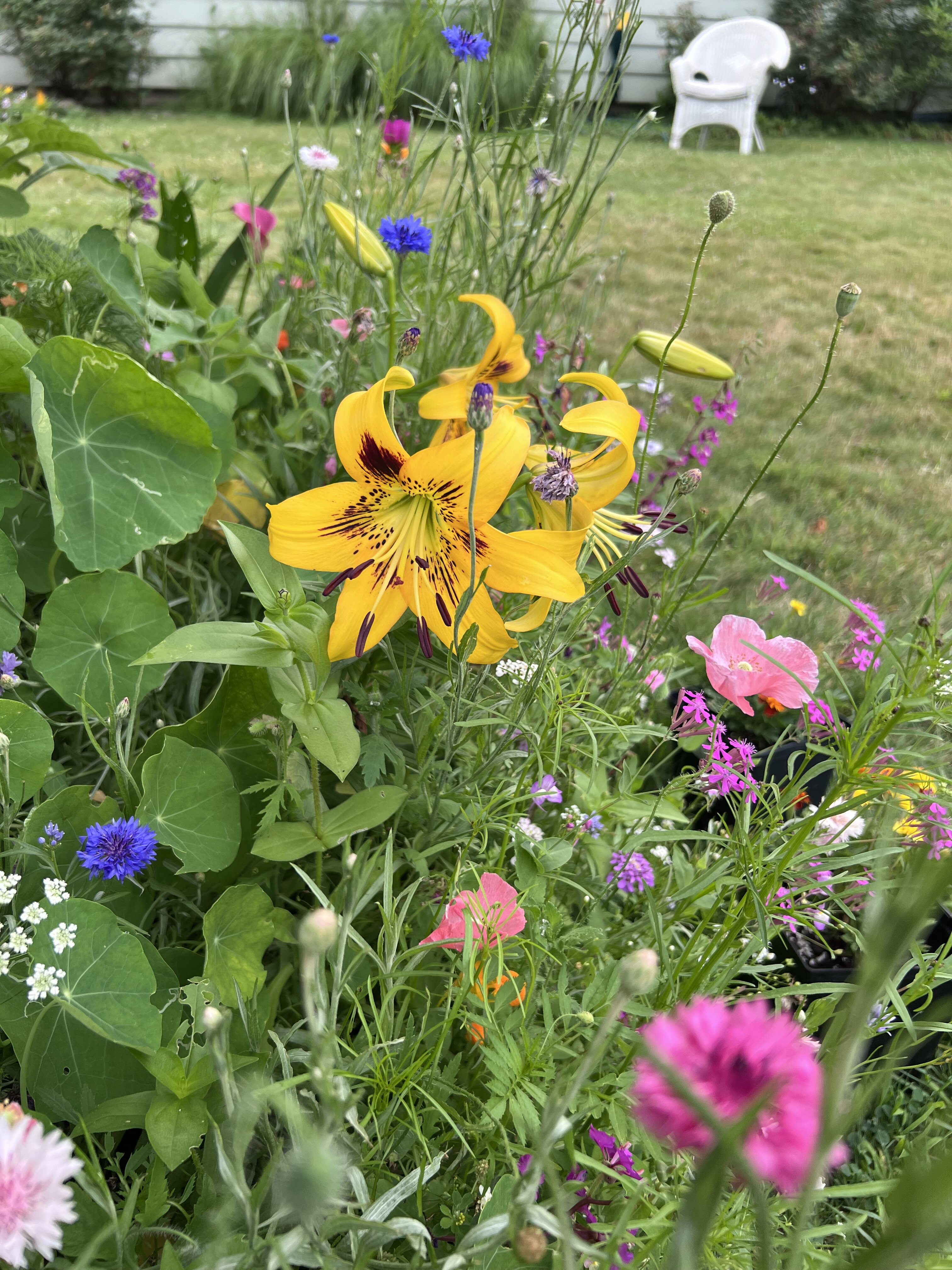 IMG_4200.jpeg