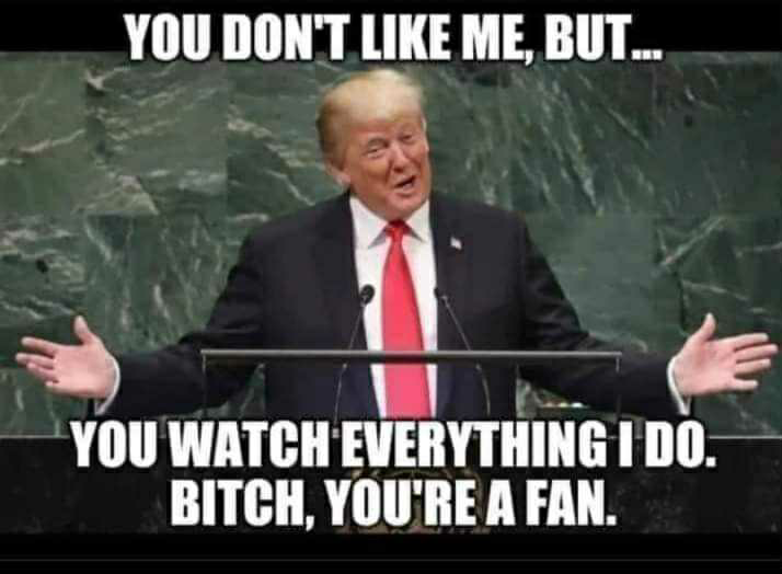 IMG_4233.png