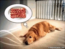 IMG_4765.gif