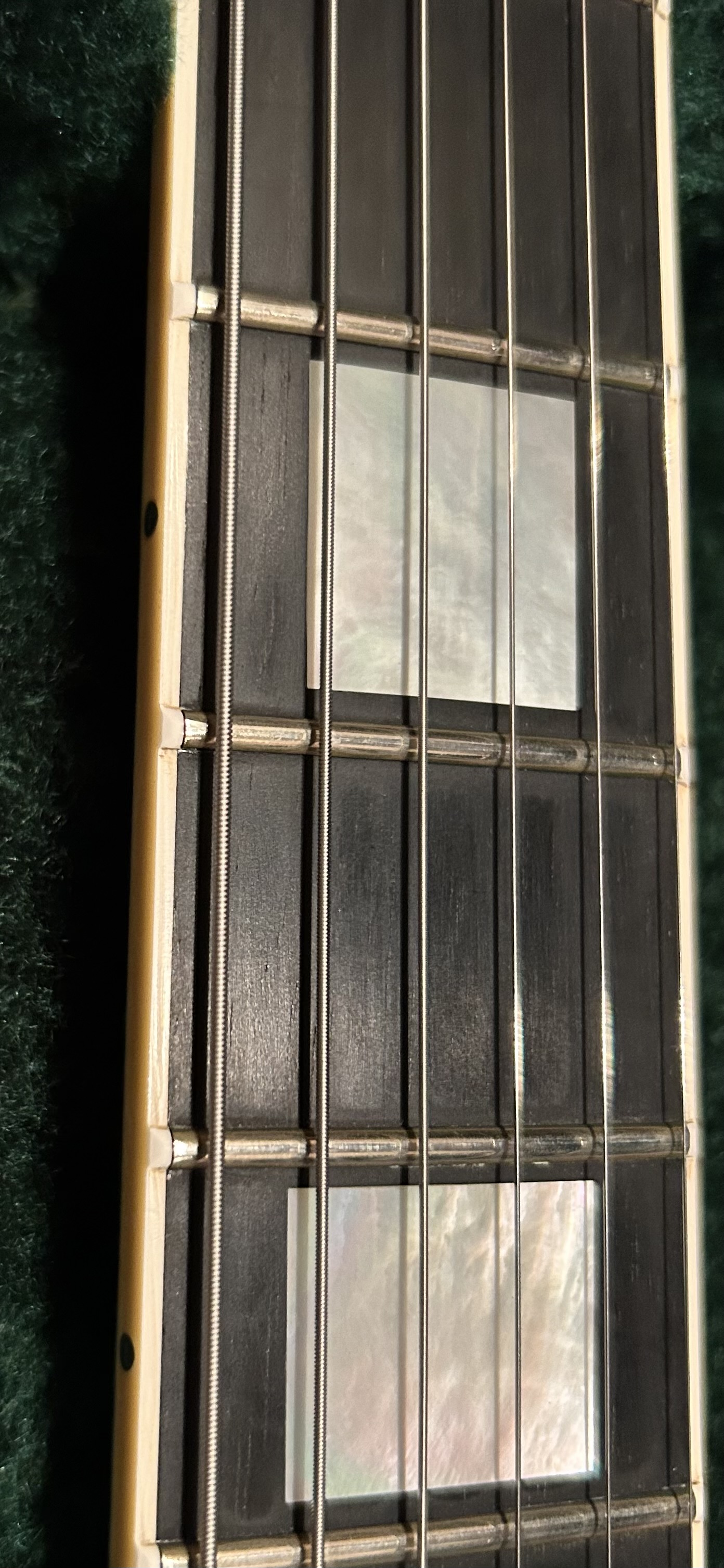 Belated NGD: Navigator N-LP-480CTM (Les Paul Custom) | The Belated NGD: Navigator N-LP-480CTM (Les Paul Custom) | The