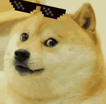 IMG_7063.gif