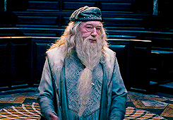 IMG_7537.gif