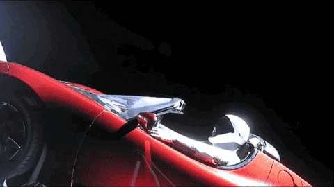 IMG_7544.gif