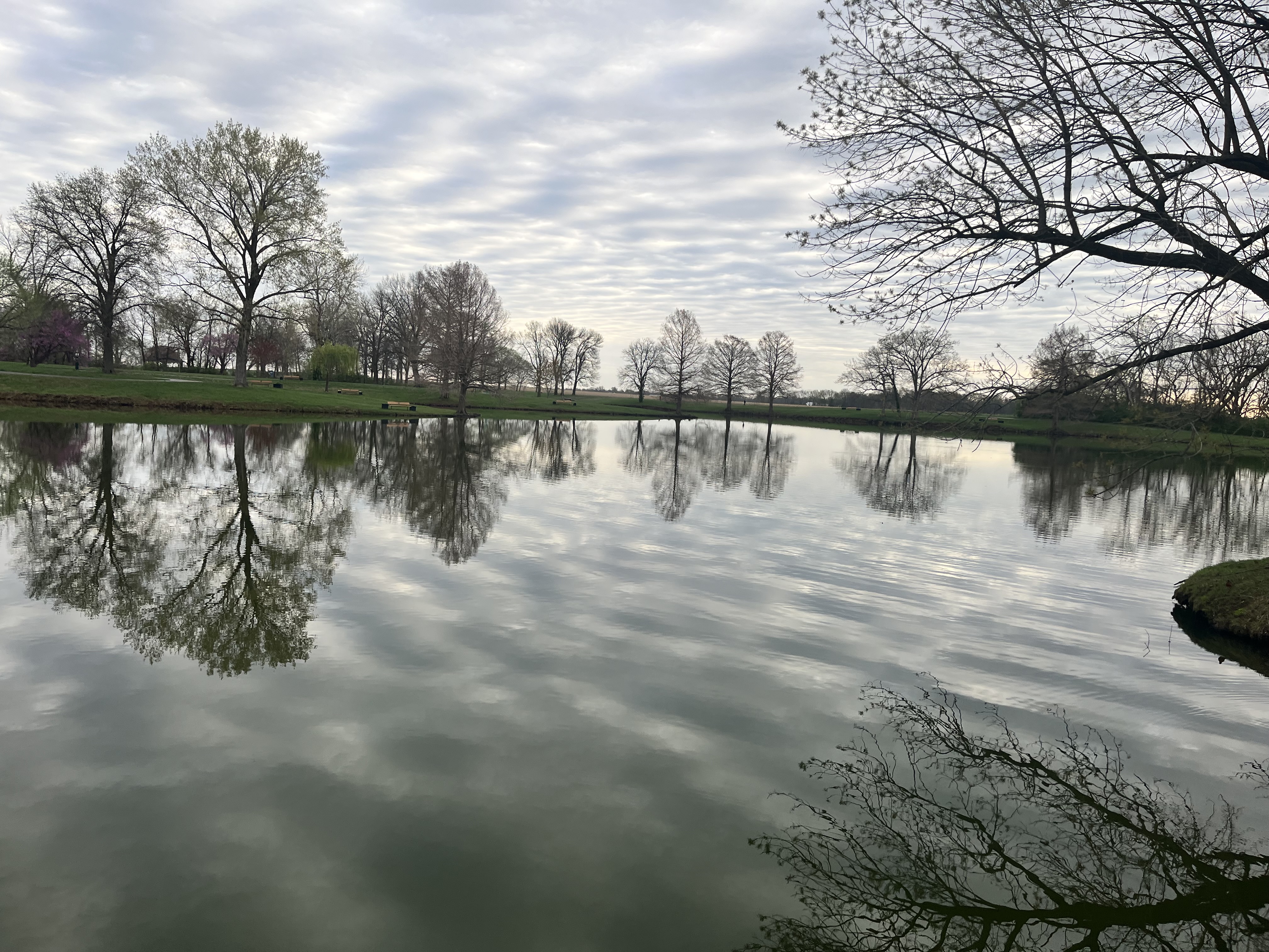 IMG_7767.jpeg