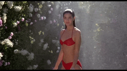 IMG_7771.gif