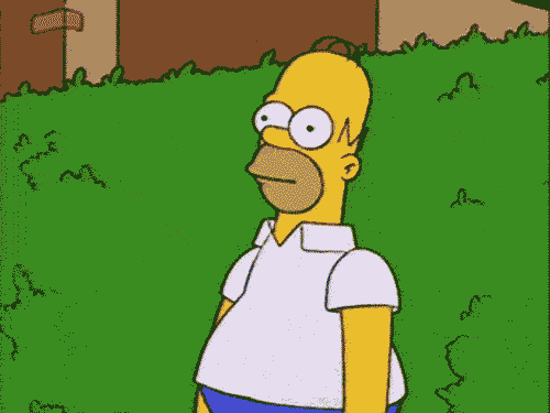 IMG_7947.gif