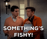 IMG_8003.gif