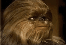 IMG_8078.gif