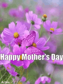 IMG_8151.gif