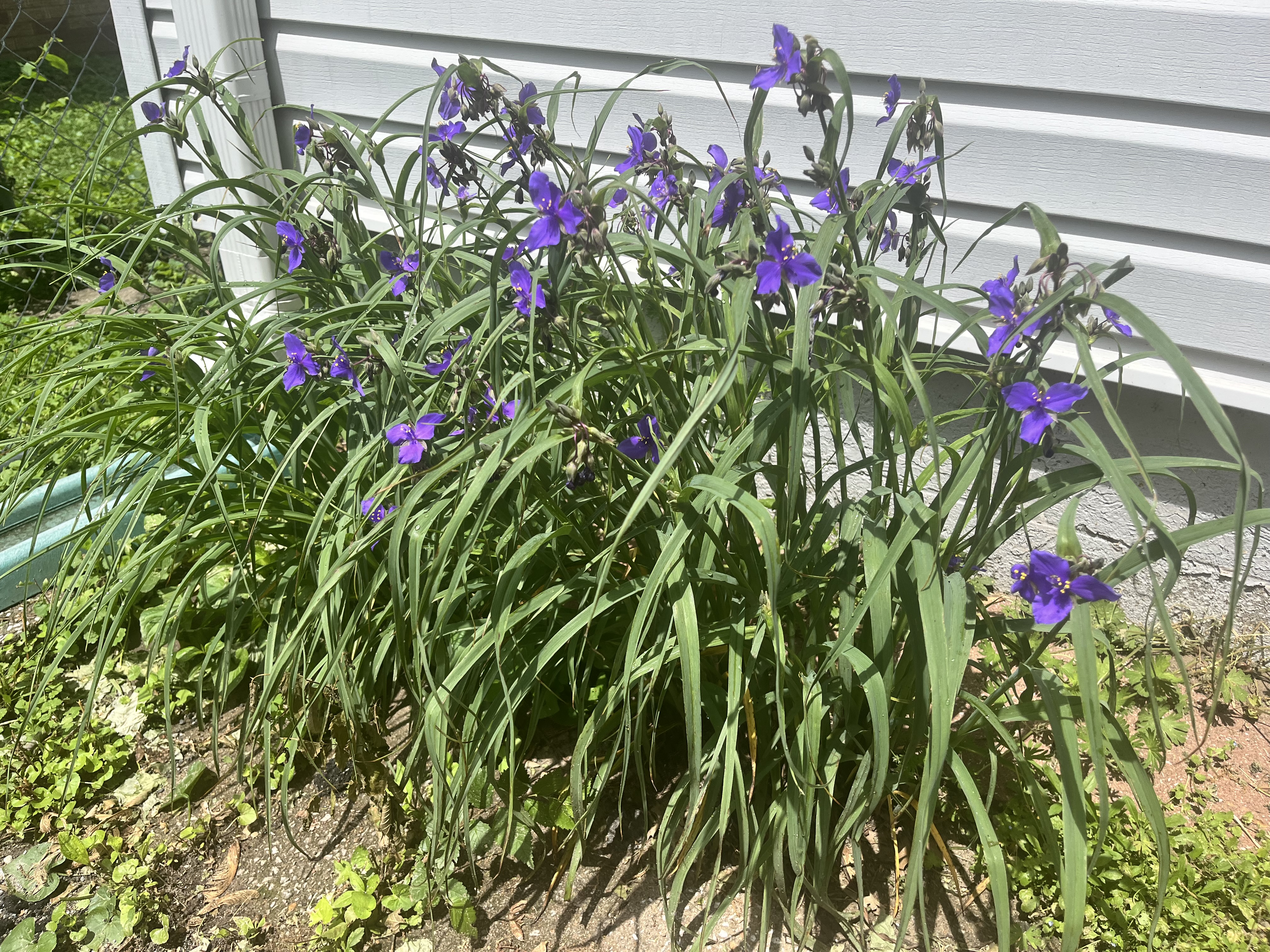 IMG_8157.jpeg