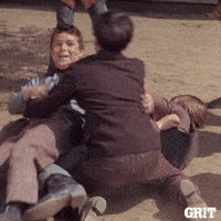 IMG_8192.gif