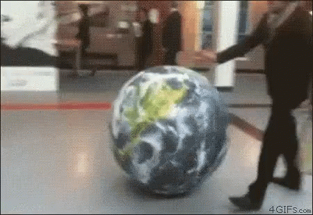 IMG_8313.gif