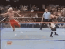 IMG_8891.gif