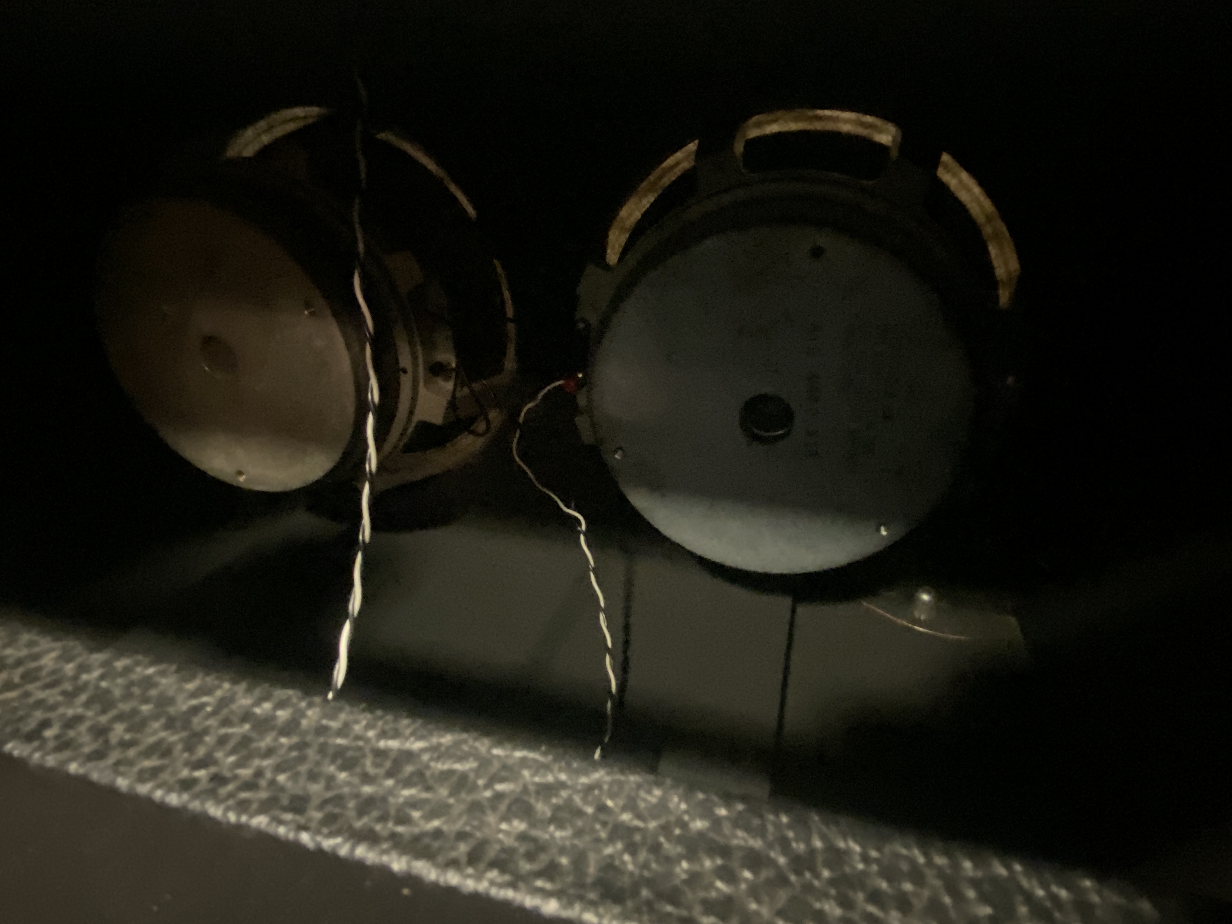 IMG_9931.jpeg