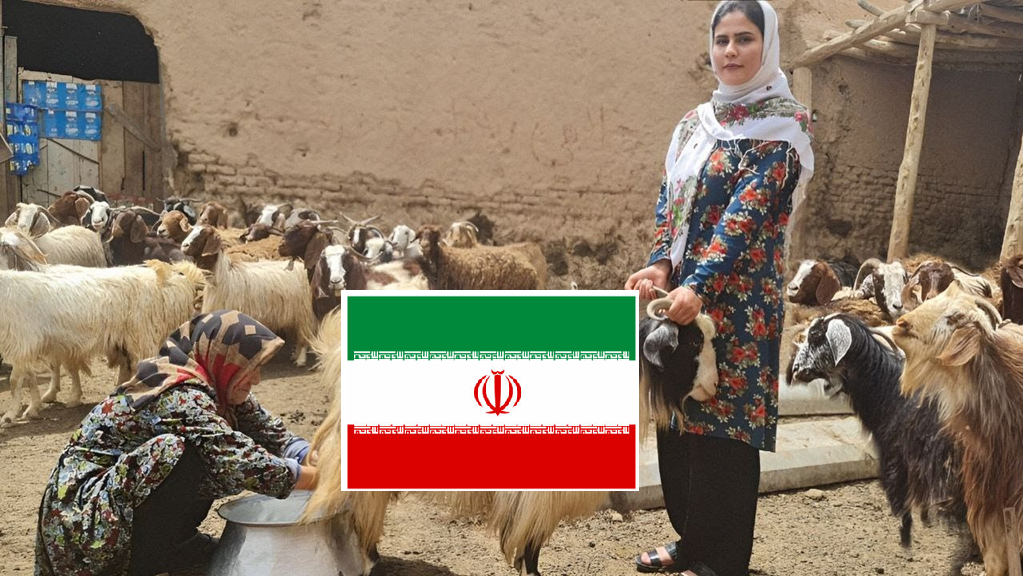 iran.png