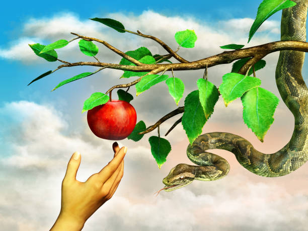 istockphoto-1256177926-612x612.jpg