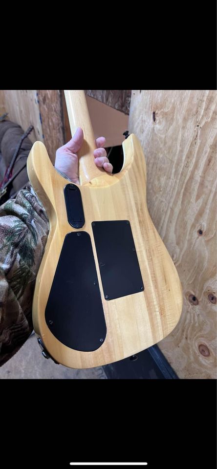 jackson dinky back.jpg