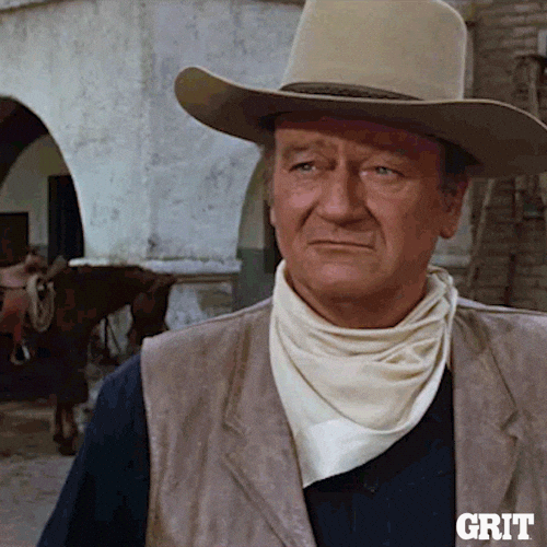 john wayne salute.gif