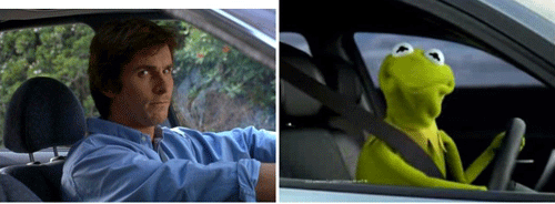 kermit1.gif