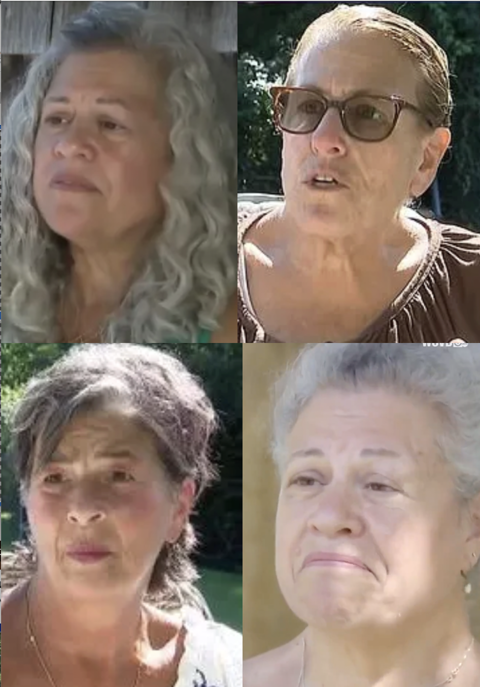 Leftist Harpies.png