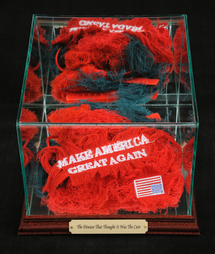 maga hat shredded Disease cropped.jpg