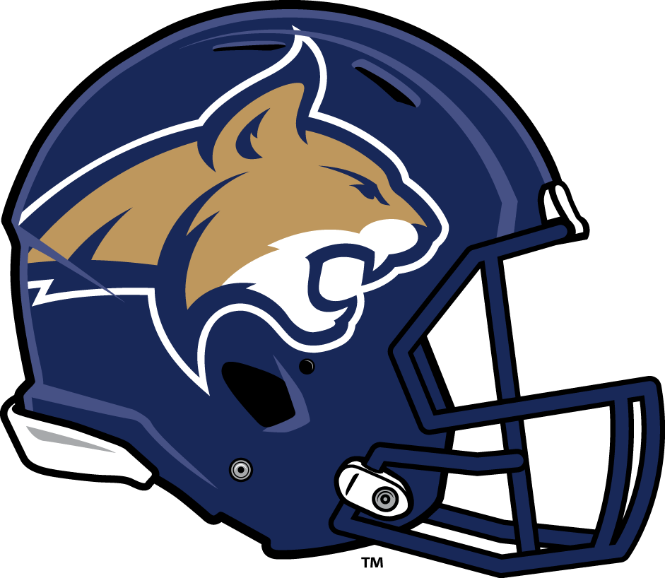 montana-state.png