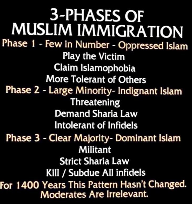 muslim immigration 3 phases.jpg