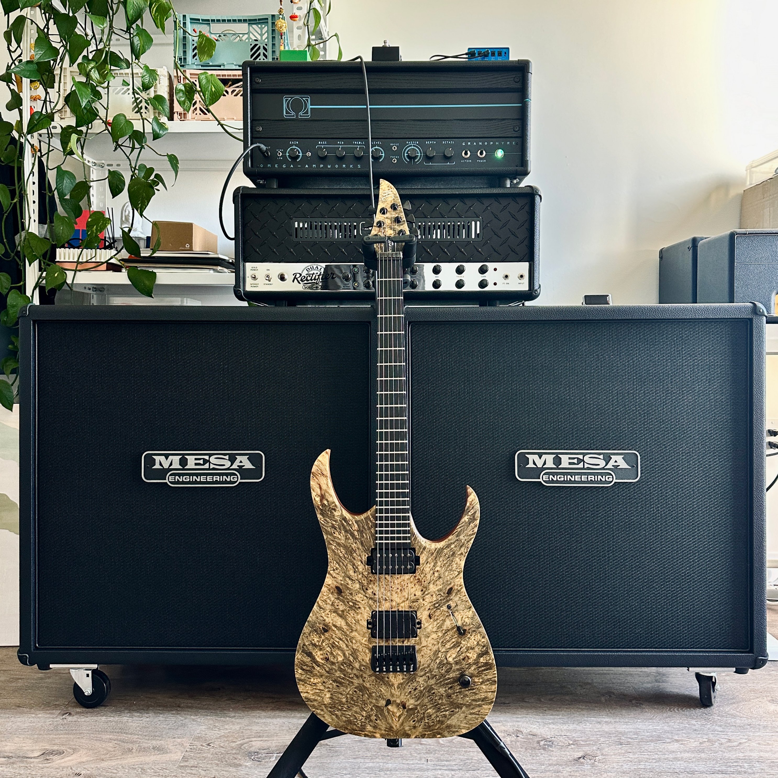 New Rig.jpg
