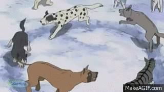 O4e9nq.gif