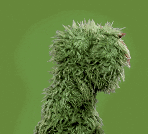 oscar-grouch-no-giphy.gif