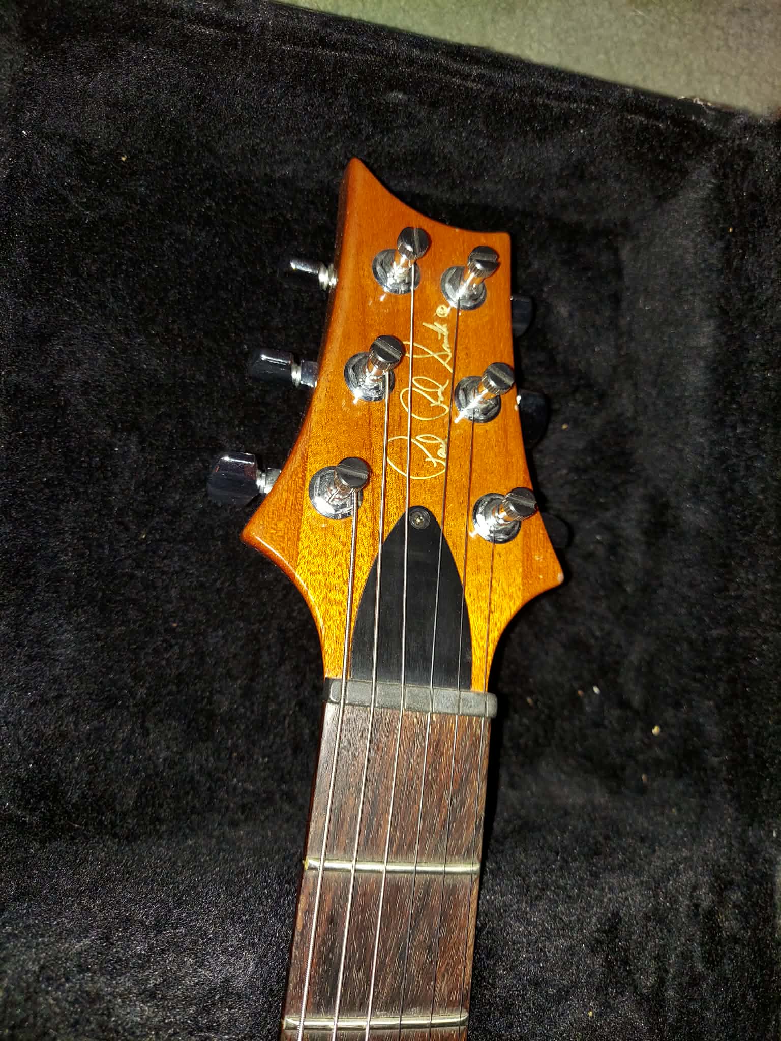 p2.jpg