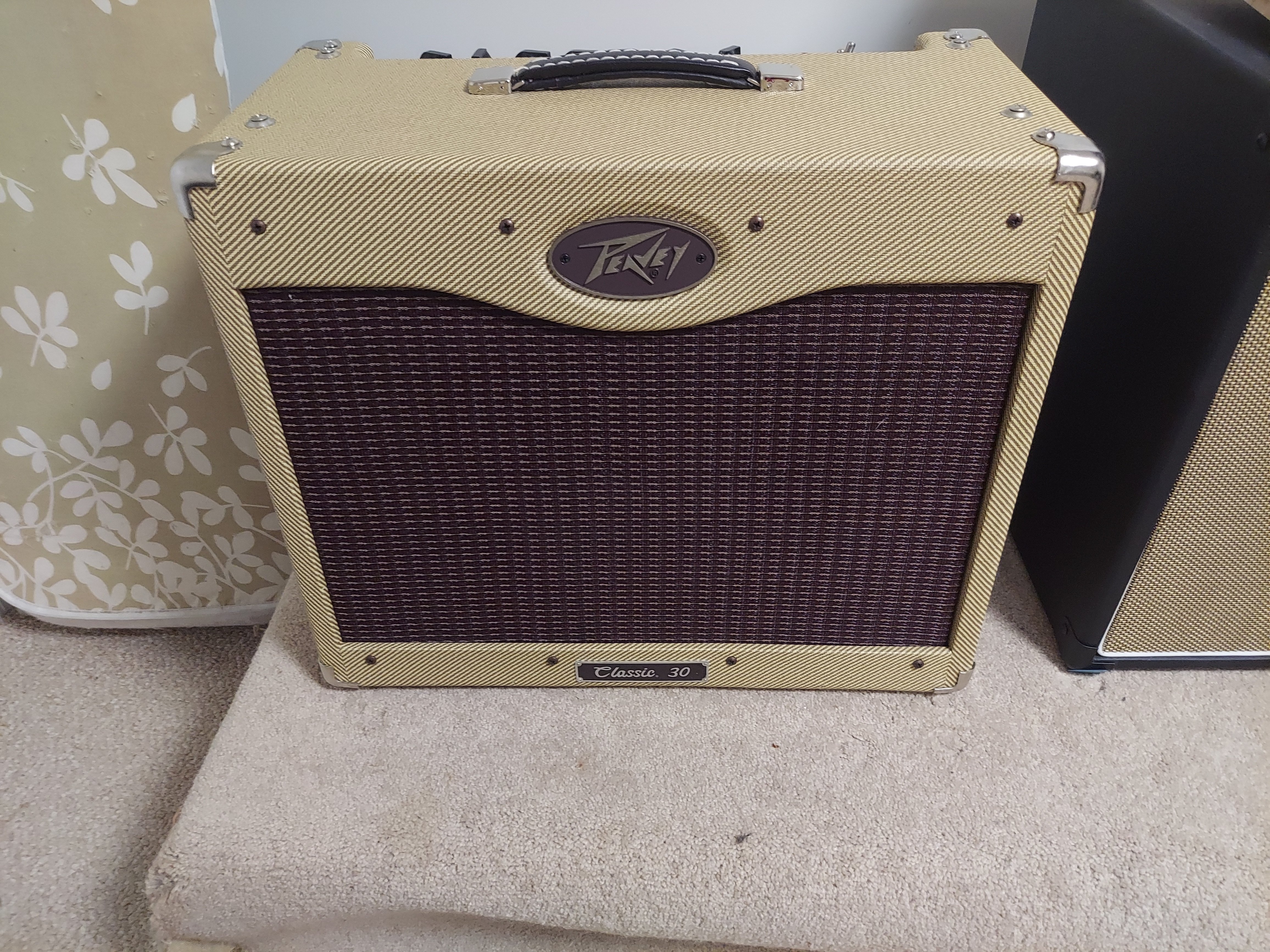 peavey front.jpg